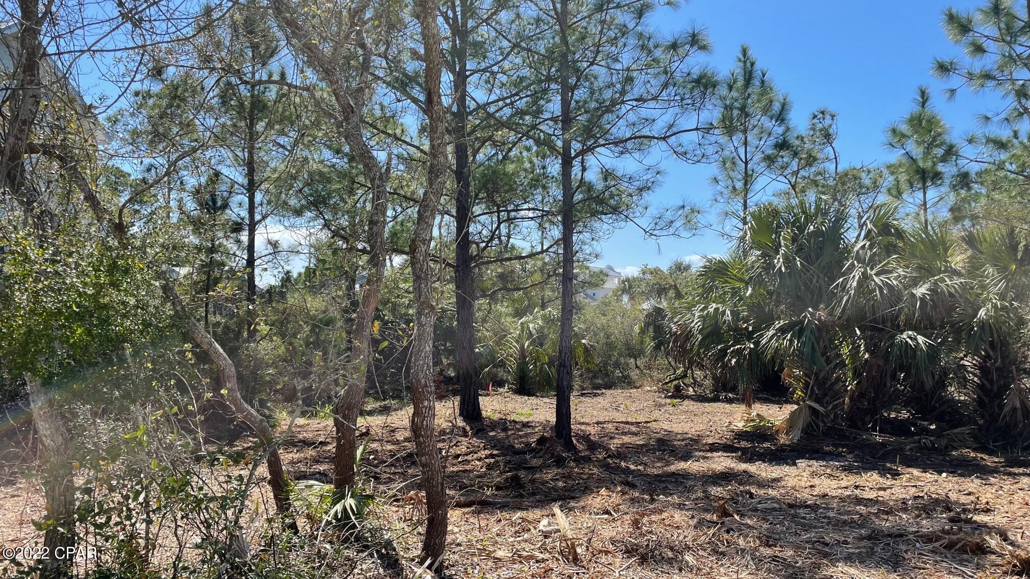 Carillon Beach - Land