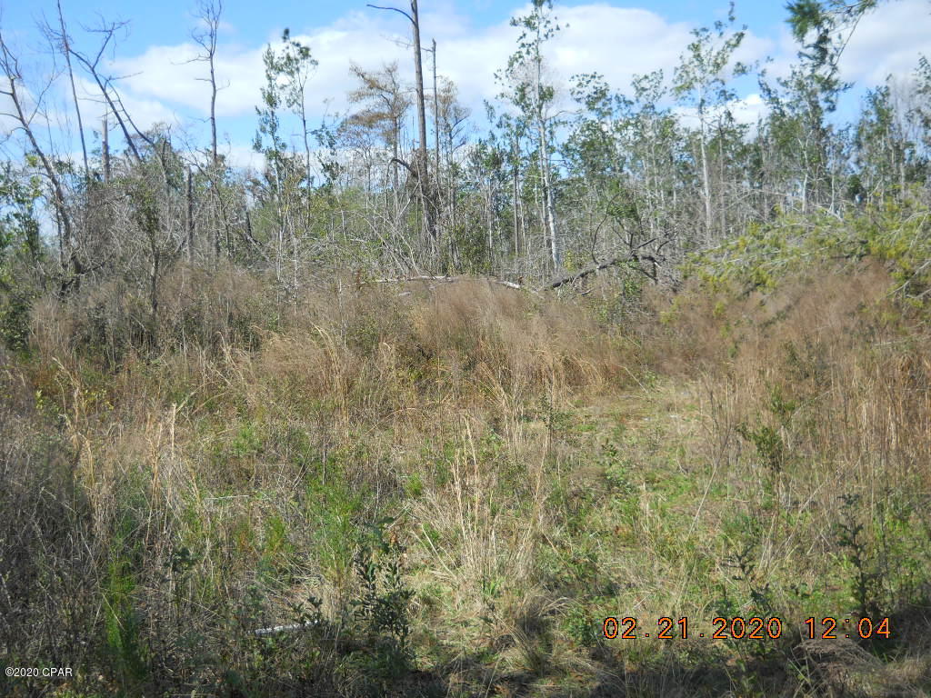 Cedar Wood Estates Ph 2 - Land