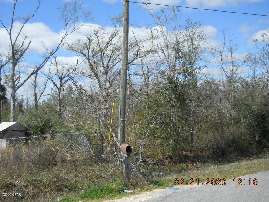 This private and peaceful 1 acre lot is the perfect location for your future home or weekend get-a-way!!! Located just 15 minutes north on Hwy 231 from the Panama City Mall, this secluded lot has beautiful trees including mature fruit trees. Seller does not warrant the well or septic tank. OWNER FINANCING WITH $6,500 down at 8.5% for 30 years. All information is taken from public records. If important to buyer, please verify. Owner will discount for cash.