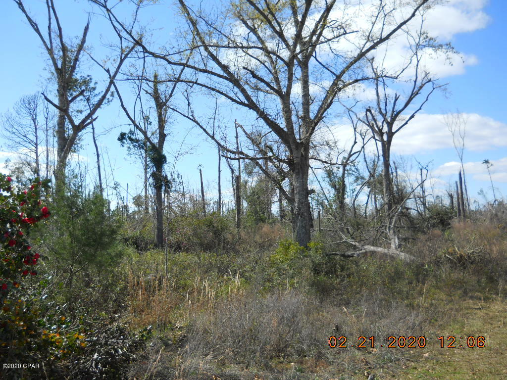 Cedar Wood Estates Ph 2 - Land