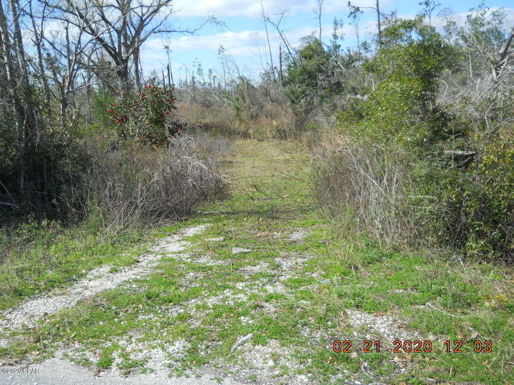 Cedar Wood Estates Ph 2 - Land