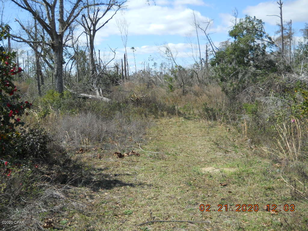 Cedar Wood Estates Ph 2 - Land