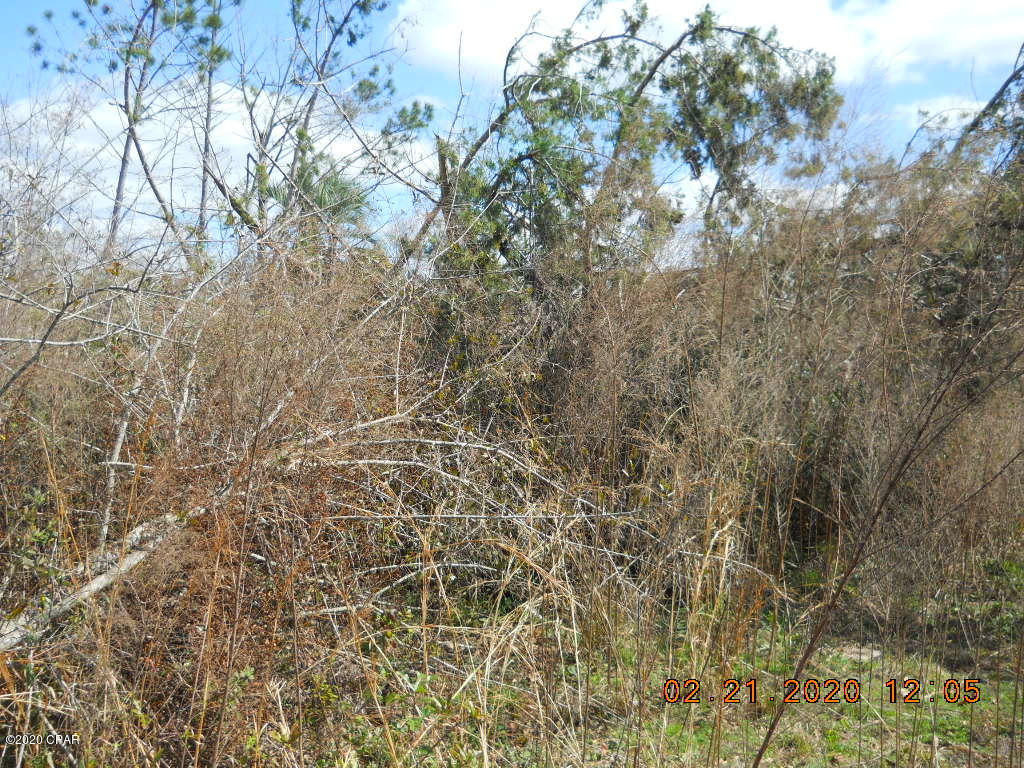 Cedar Wood Estates Ph 2 - Land