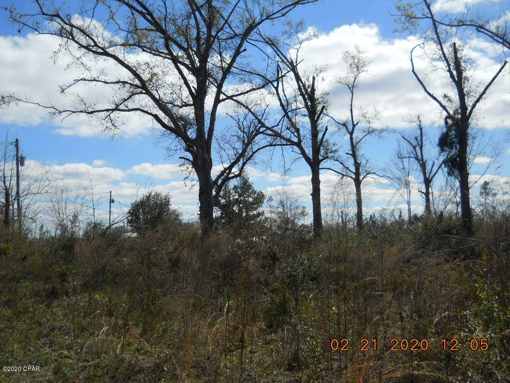 Cedar Wood Estates Ph 2 - Land