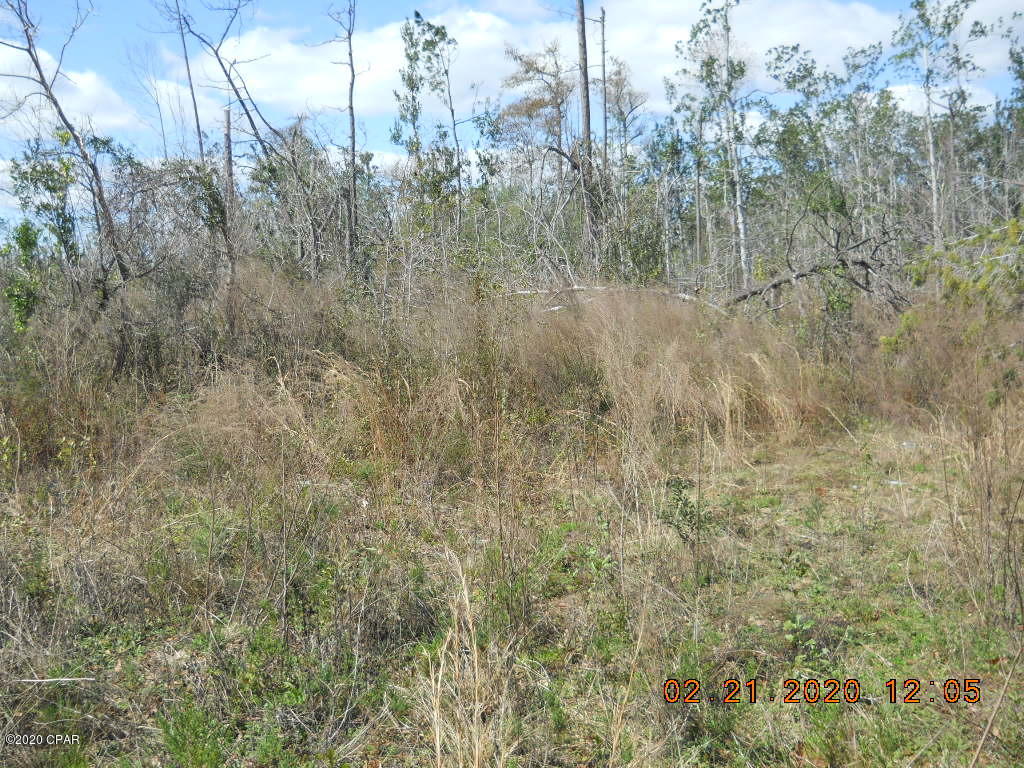 Cedar Wood Estates Ph 2 - Land