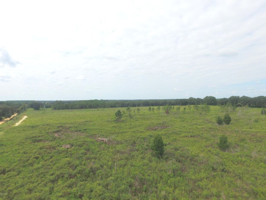 This 76.5 /- acre tract is a mixture of planted pines and natural woodlands nestled in a private setting. This beauty has endless possibilities including horse ranch, hunting retreat, home site or investment timber. The property has road frontage to three different roads and is conveniently located minutes from Graceville, Chipley, Cottondale and the Alabama State line.
