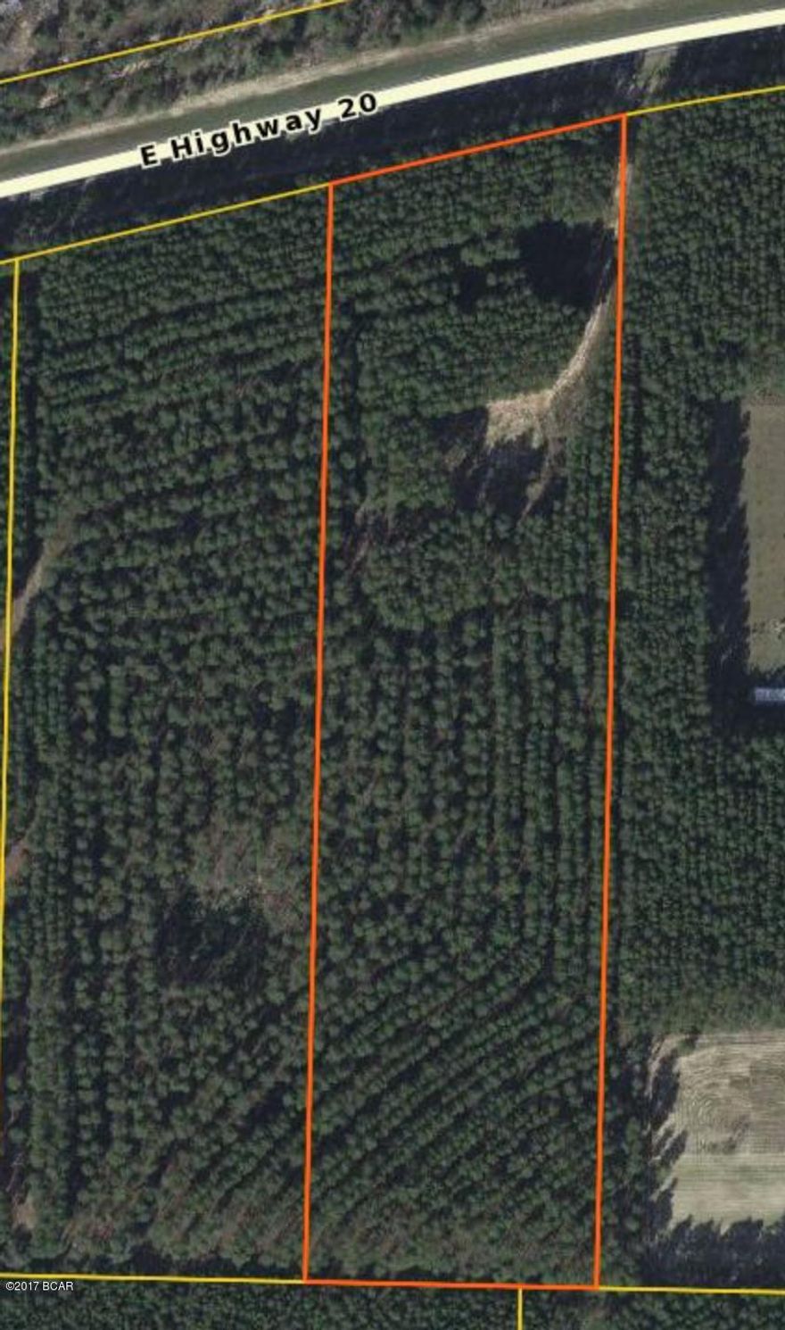 Great high and dry 10 acre parcel, well, septic, power, fully wooded with approx 1/2 acre cleared. 330' of frontage on paved hwy 20.