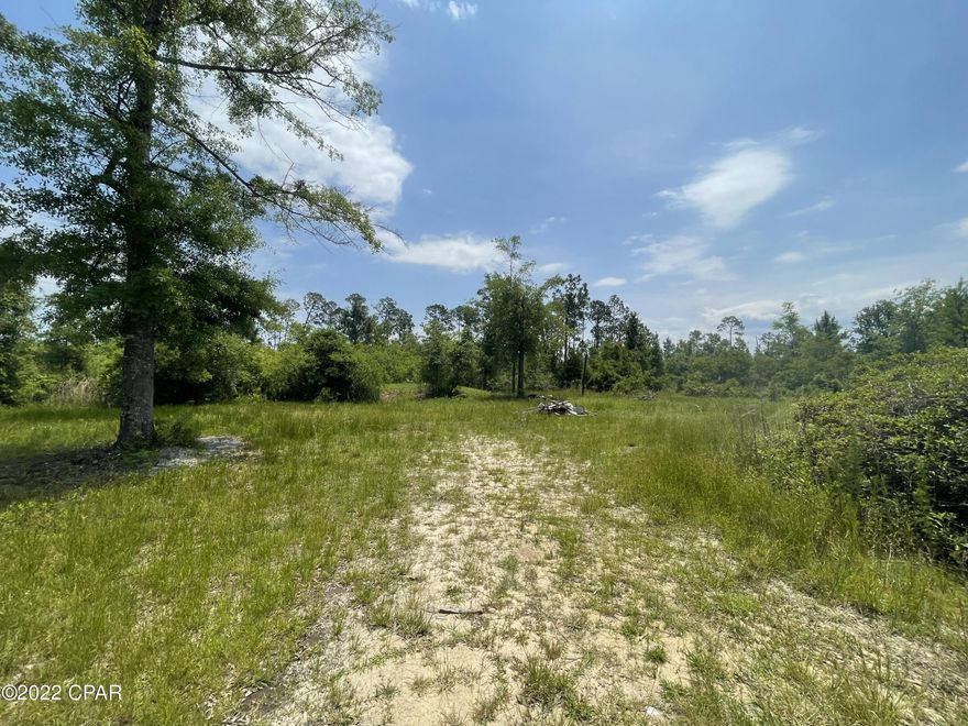This property is located in a quiet and nice neighborhood waiting for your new home to be placed on it. It is surrounded by shade and 2.5 +/- acres of privacy. Well, septic, and power on site. Go show today!