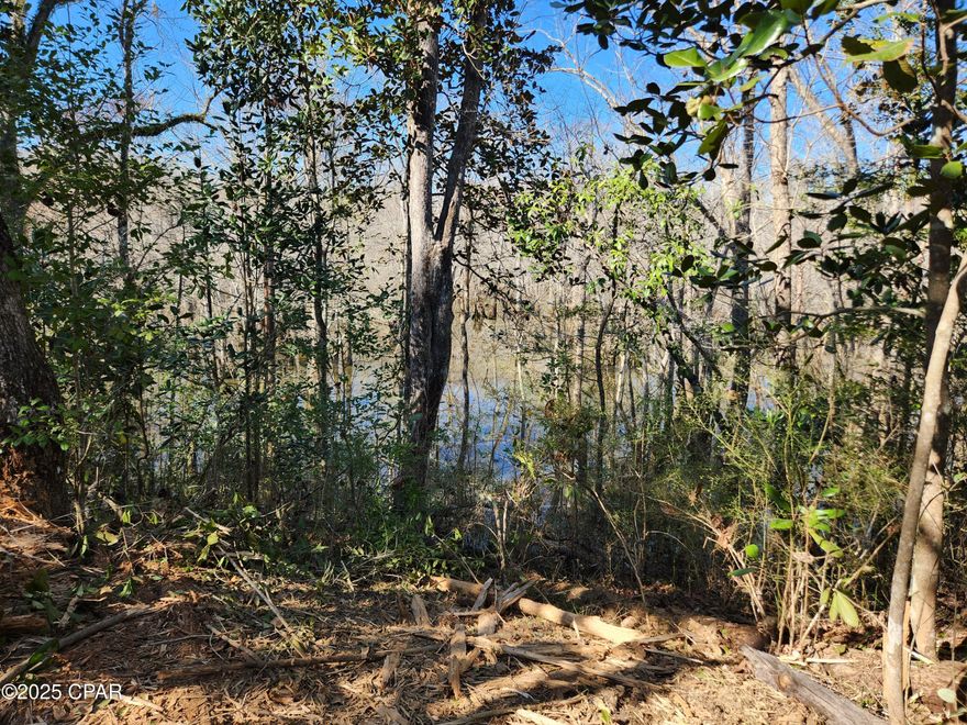 Come make your peaceful paradise south of Bristol Florida on the water.  This lot has been partially cleared to give you access to Outside Lake where you can fish and enjoy privacy.  The county public boat ramp is only a short 3 minute drive away to get on the Apalachicola River.  If you prefer enjoying the thousands of acres of the Apalachicola National Forest you are only a 5 minute drive from it!  Public water is available on this lot and with over an acre you have plenty of room to put a home and storage buildings.
