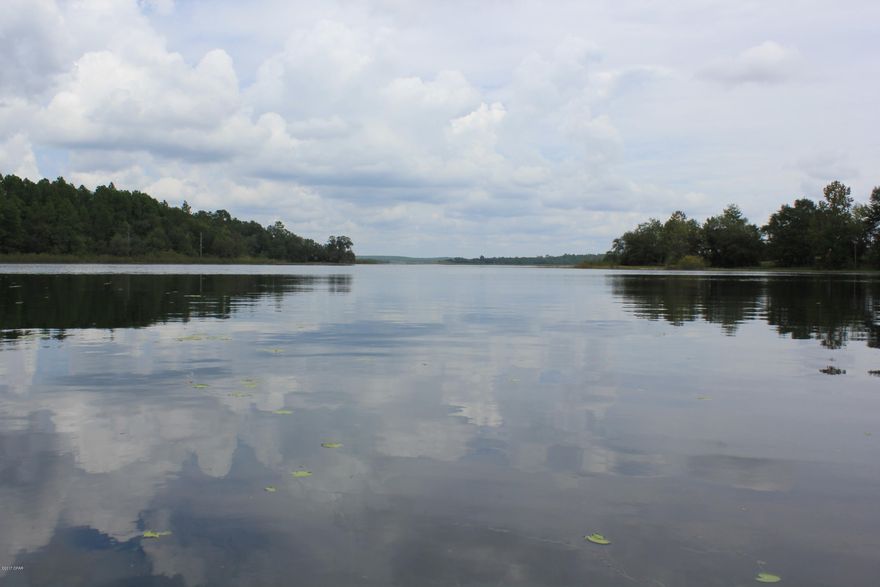 Life is better at the lake! This is a great chance to own a lake property on Porter Pond Lake. Beautiful lot with 3 BDRM/ 2 BA manufactured home with lots of privacy and beautiful view of the lake. Covered front porch is perfect for friends and family gathering. Private dock with a boathouse. This place is perfect for fishing, boating, water skiing, and canoe rides. Start making your perfect lake memories here! Owner Financing available. Call for more information.