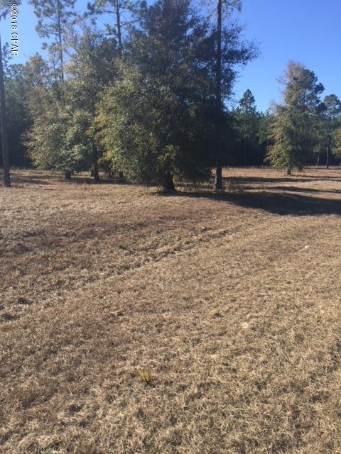 Blue Springs Plantation - Land