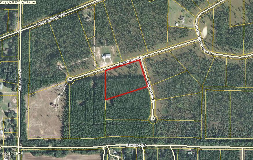 Blue Springs Plantation - Land