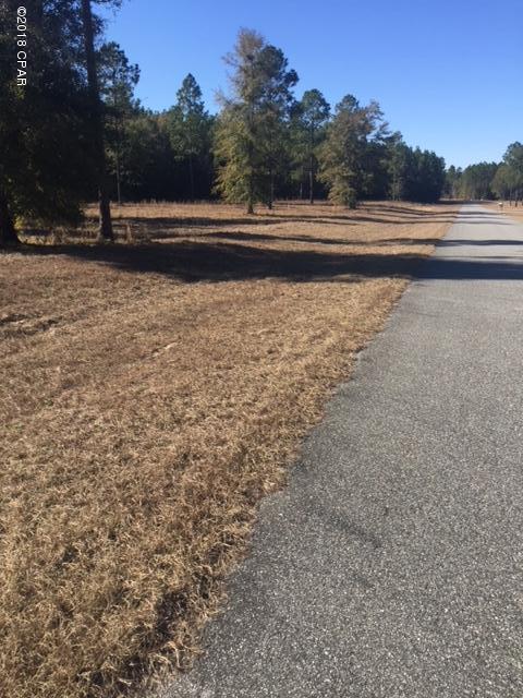 Blue Springs Plantation - Land