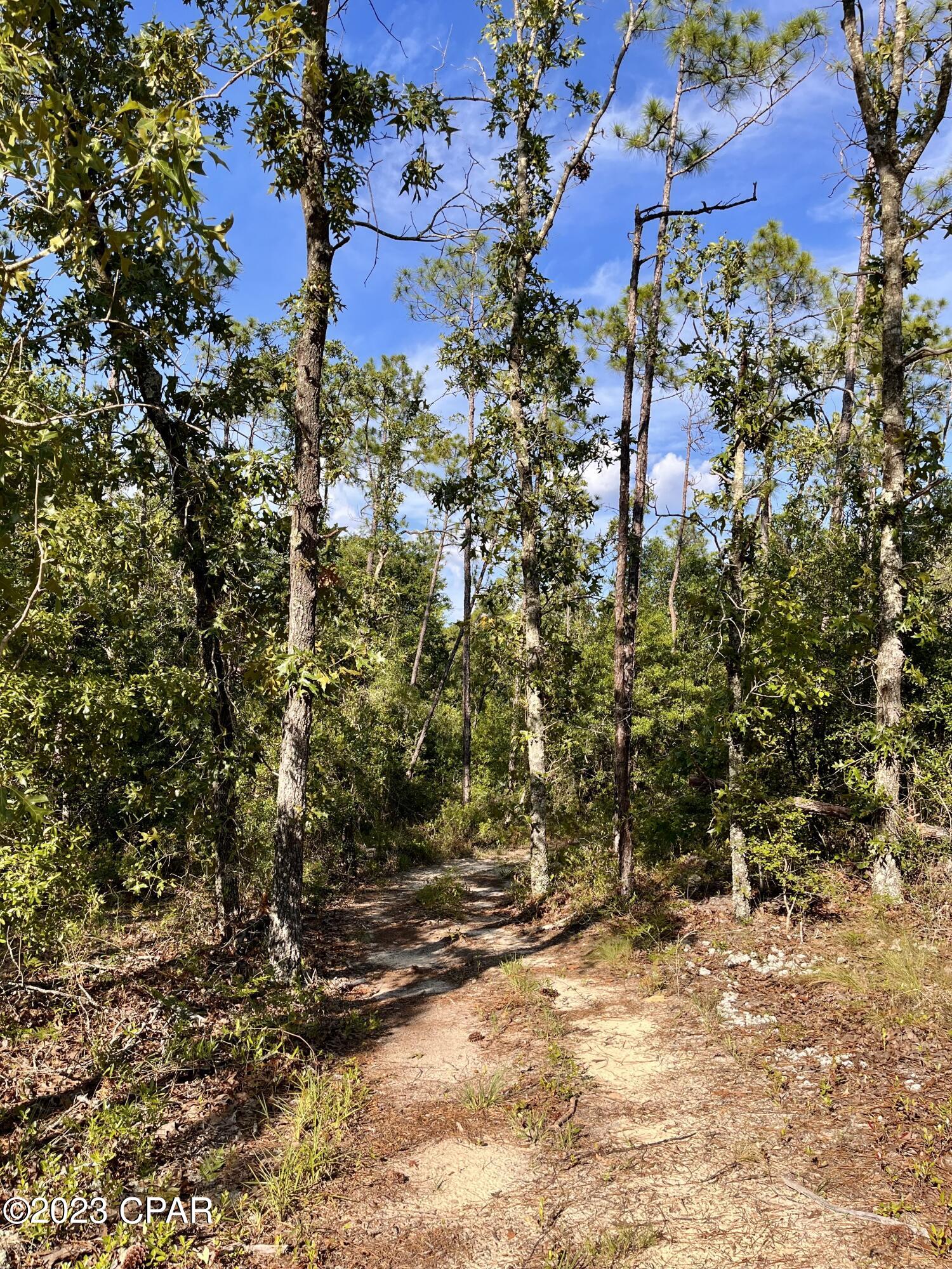 Compass Lake Hills Unit 5 - Land