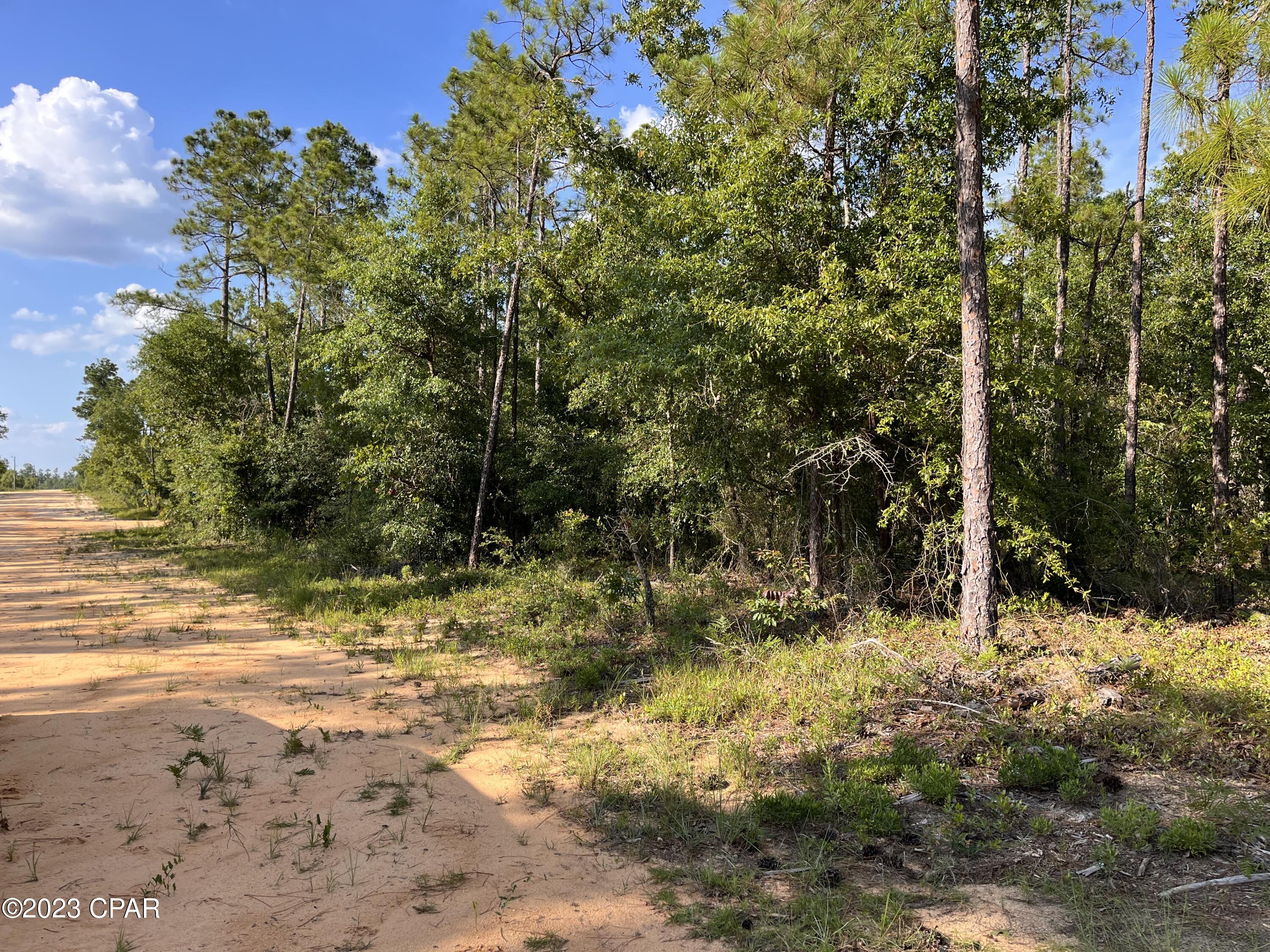 Compass Lake Hills Unit 5 - Land