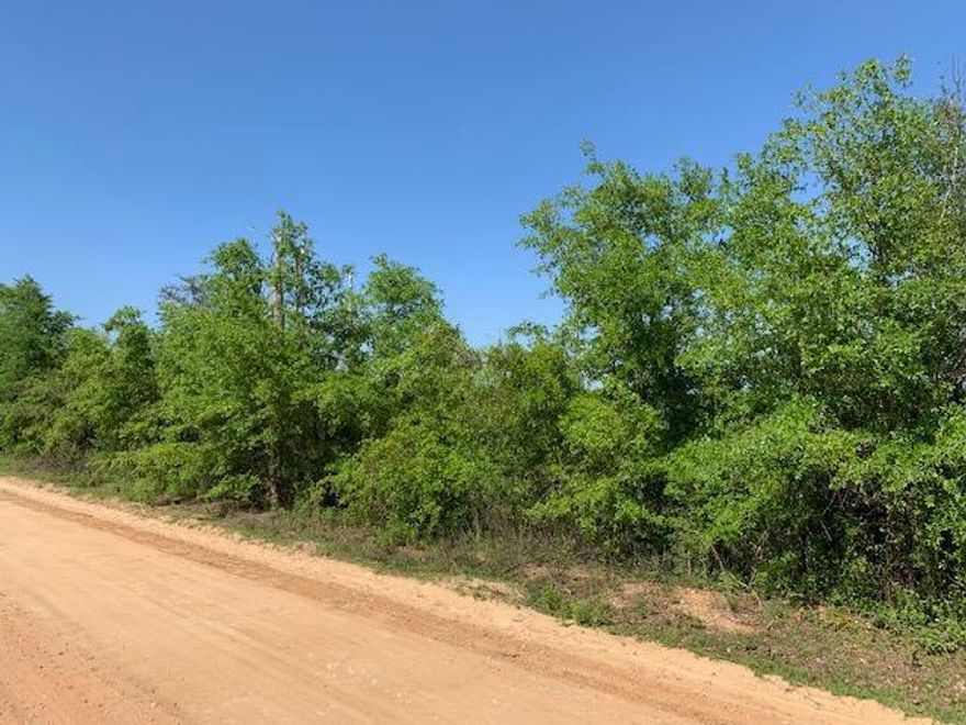 Here's your opportunity to purchase a beautiful wooded lot on Spring Pond in Washington County. Build your dream home with a gorgeous view or use it as a weekend getaway spot for family and friends. Lot is located 15-20 minutes north of Lynn Haven and 25-30 minutes from the World's Most Beautiful Beaches. All sizes and ages are approximate, please measure and/or verify if important.