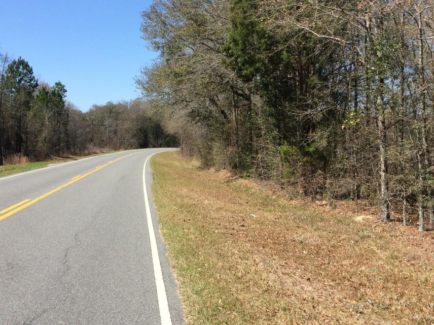 This partially wooded property will make an excellent location for a site built modular or mobile home.  With its close proximity to Lake Seminole and Three Rivers State Park this is an ideal setting as a camp ground with cabins.  The property is zoned Agricultural II.  Approximately half is Flood Zone X, requiring no dwelling elevation.  The other half is Flood Zone A.  The dwellings must be elevated 2 ft. and the property owner will need flood insurance.  Property can be sub-divided to accommodate one dwelling per acre.