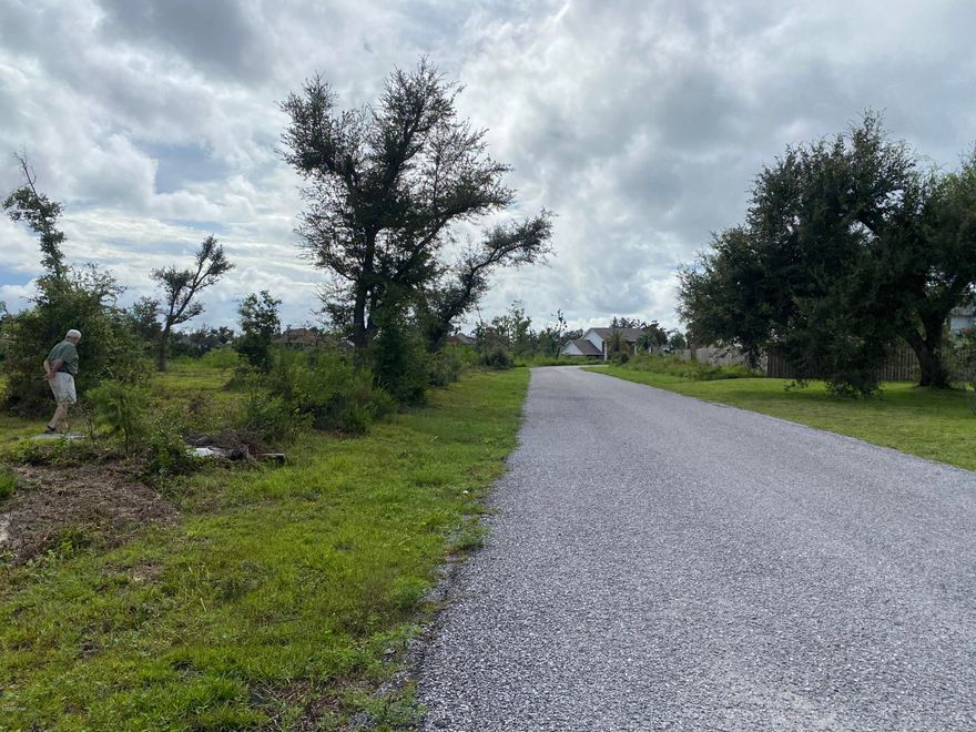 Half acre lot, high and dry.  One of the few remailing corner lots in College Point