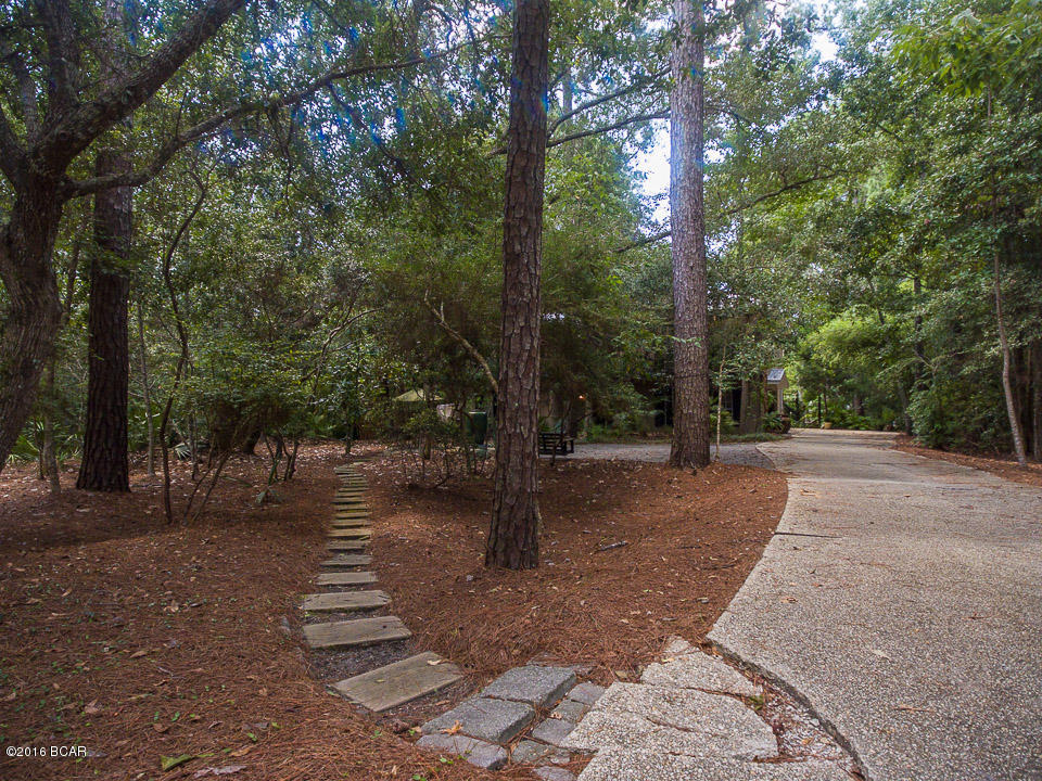 The Shallows - Residential