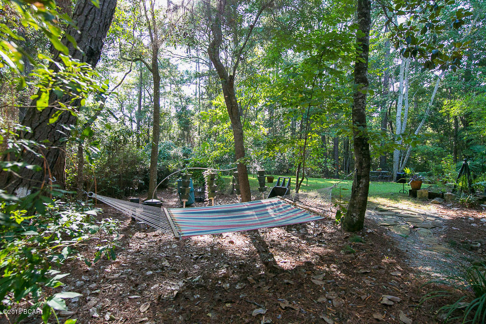 The Shallows - Residential