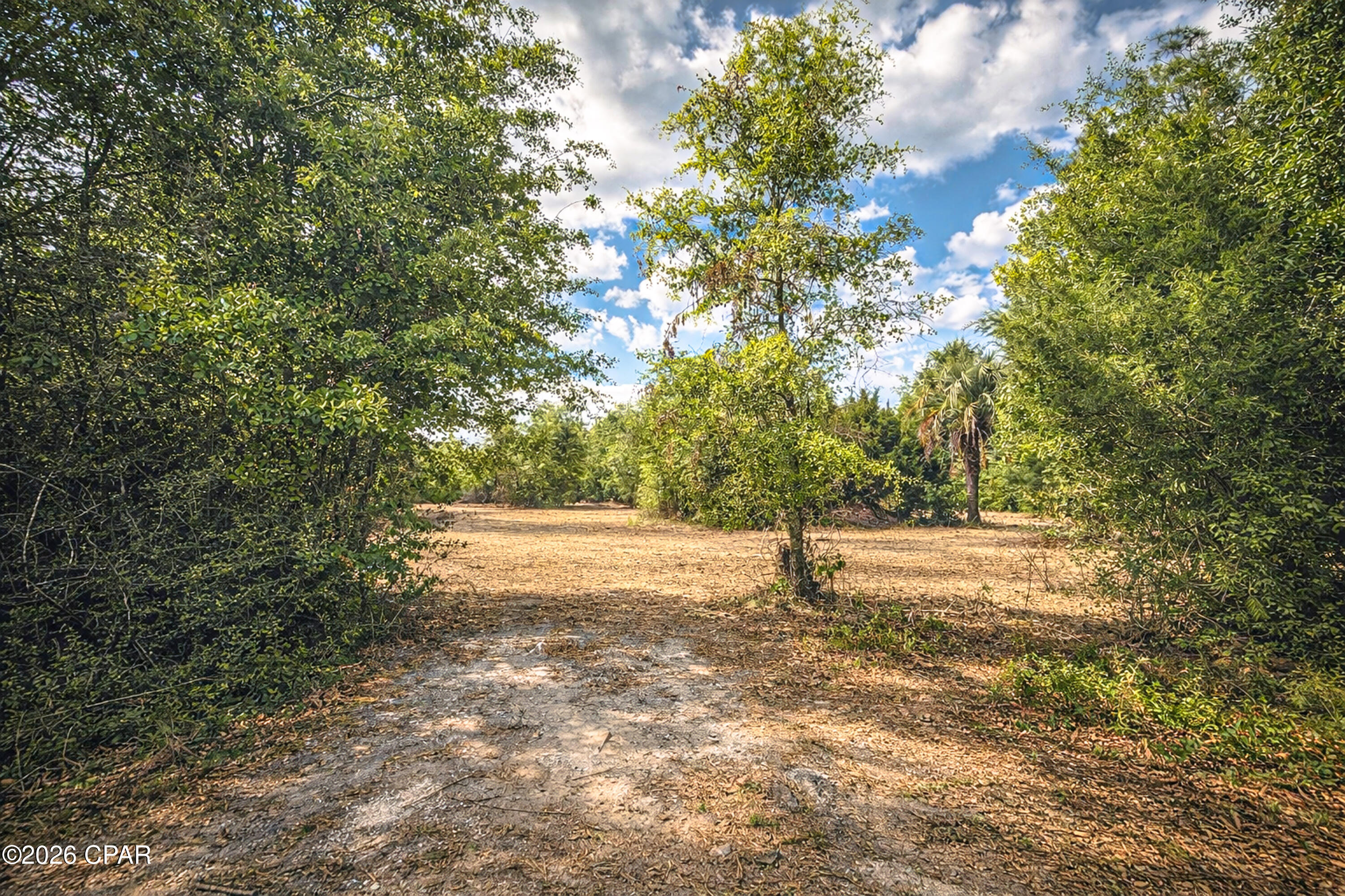 Cedar Wood Estates Ph 2 - Land