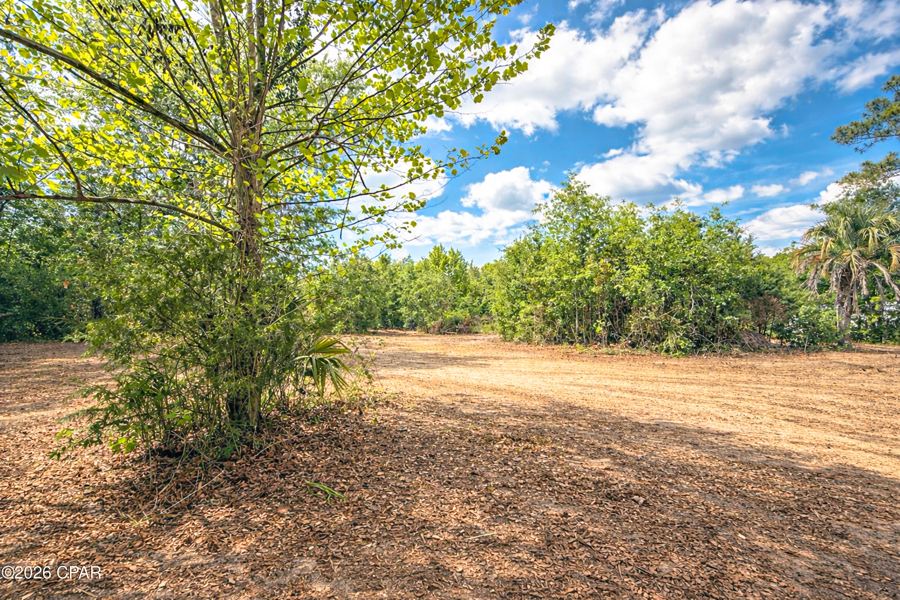 Cedar Wood Estates Ph 2 - Land