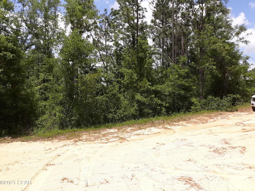 Nice big lot to build on with big oaks and pines mixed with other kind of trees.