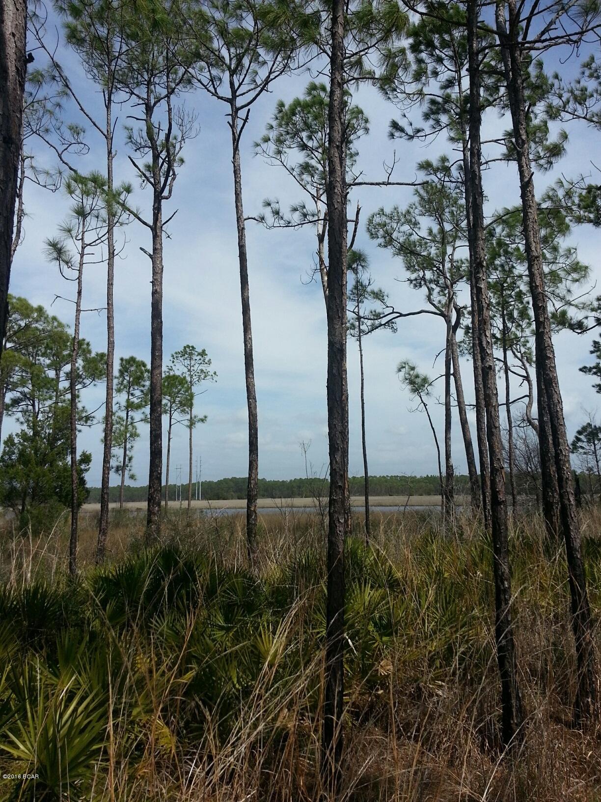 Rivercamps On Crooked Creek Ph 2 - Land