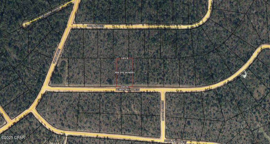 Premium 1.1+acre lot on Pembroke Street in Compass Lake in the Hills. Flat terrain, power on the road, and surrounded by natural beauty. High and dry with no flood zone risk. Great opportunity to build in a quiet, wildlife-filled setting with access to community lakes and parks.