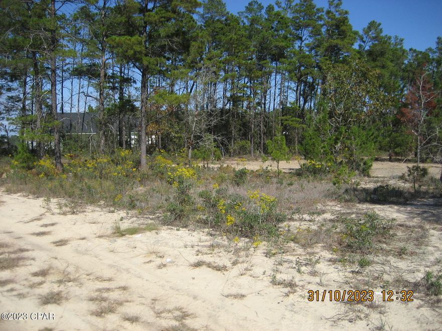 Very nice partially cleared and landscaped property.    Approximately 3 1/2 acres located just outside of town but open space for peace, quiet, and privacy.  The property has its own private driveway coming off of the main road which gives it lots of privacy.   Property appears to have previously had a home on it.    OWNER WILLING TO FINANCE with 20% down at 8.5% for 30 years.  Payment of $507.48/month. 
 All information is taken from the Public Records.  If important to buyer, please verify.