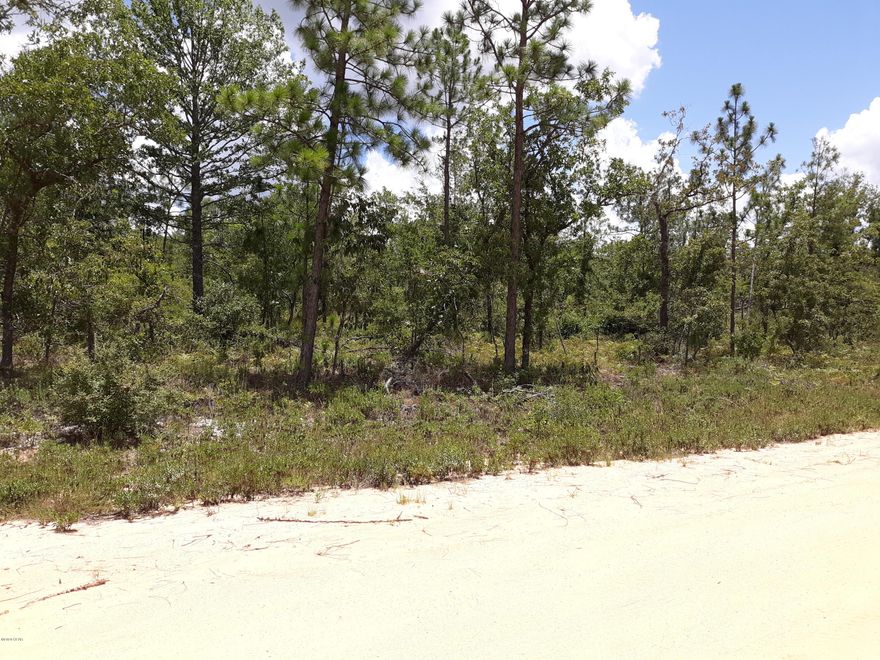 Nice wooded lot with 1.7 acre's