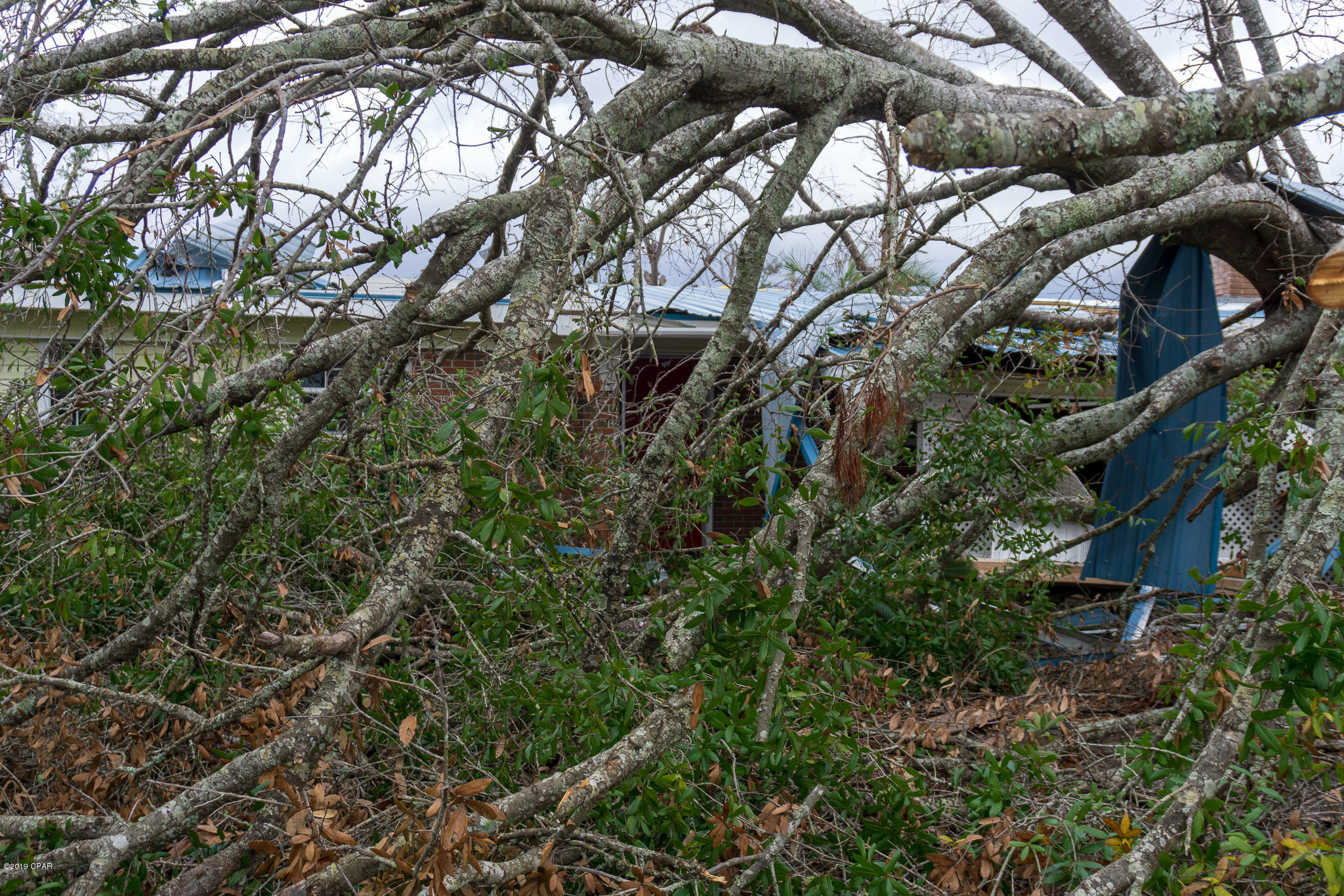 Cherry Hill Unit 1 - Residential