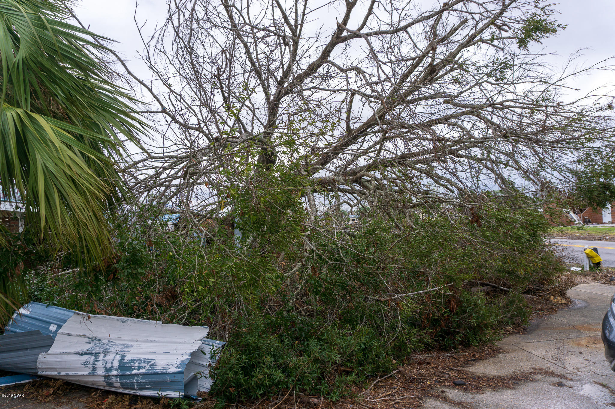 Cherry Hill Unit 1 - Residential