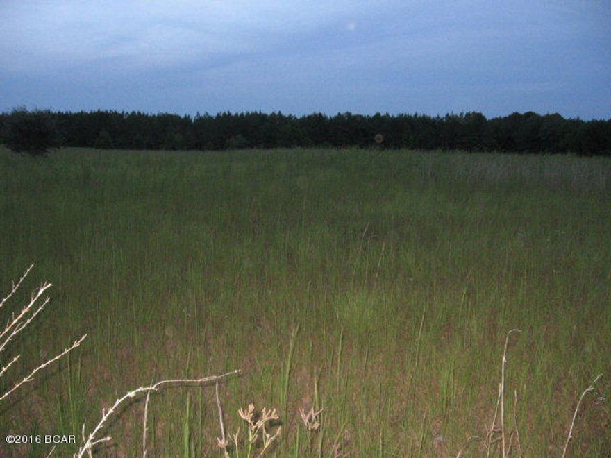 REMARKS/DESCRIPTIONS: GREAT BUILDING LOT. Quiet and Secluded 7.01 acres that would make a wonderful home site. Bring horses. Enjoy peaceful nights in the midst of pasture land with beautiful pine trees on the back of property. Only 2 miles to Hwy 231 and 4 miles from I-10