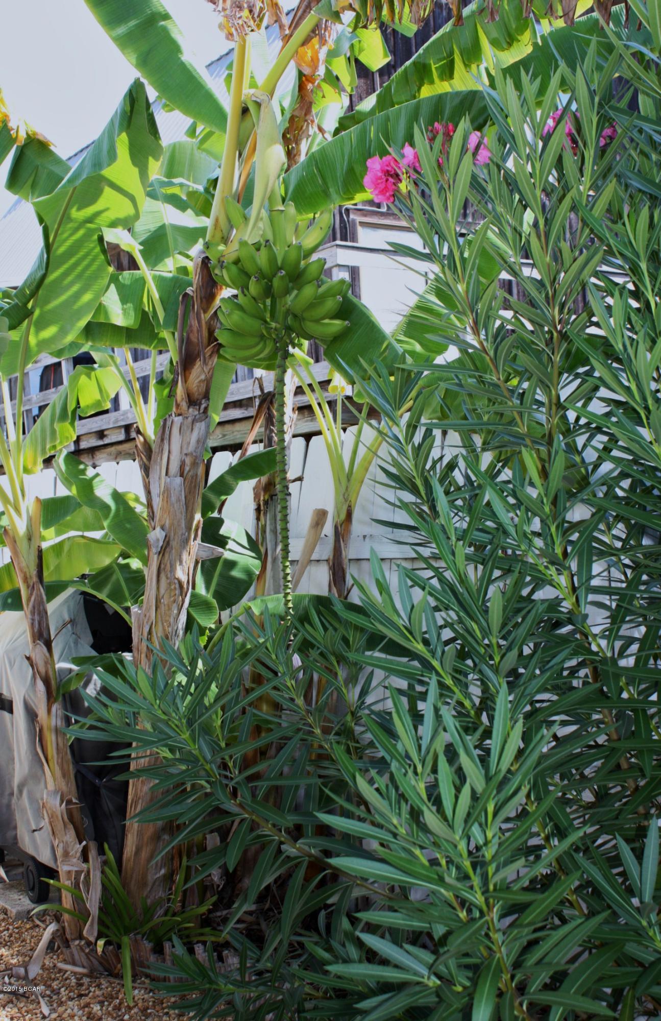 Holiday Beach Unit 10 - Residential