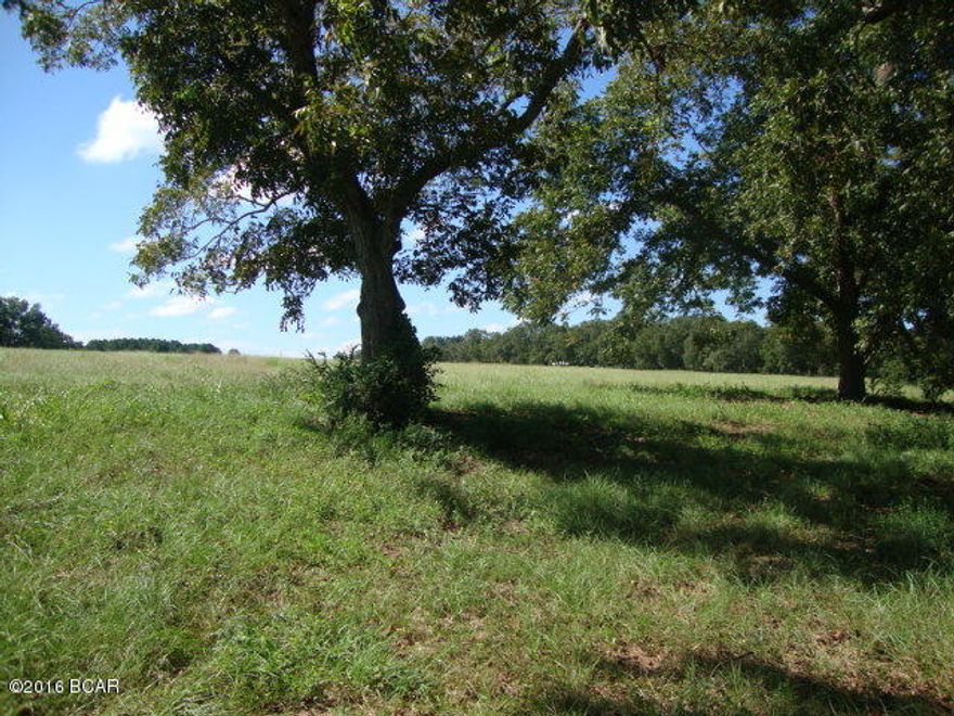 8 Acres. Cleared pasture land.  Frontage on paved road. Lots of great home sites. Current survey on file. Short distance to town.