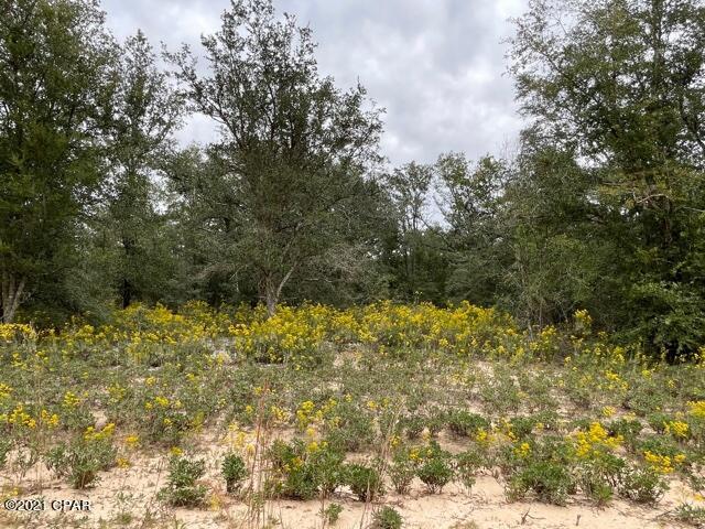 Compass Lake Hills Unit 1 - Land