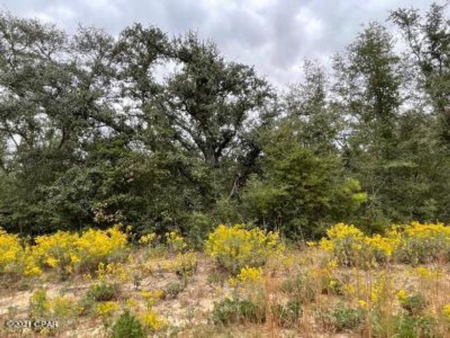 Nice wooded residential lot in lovely Compass Lake in the Hills.  There are some nice oaks on this lot.  Will make you a nice spot to build your forever home on.  It has easy access to the south to Panama City on the coast and north to Marianna for shopping.