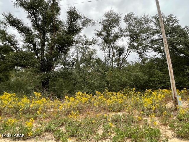 Compass Lake Hills Unit 1 - Land