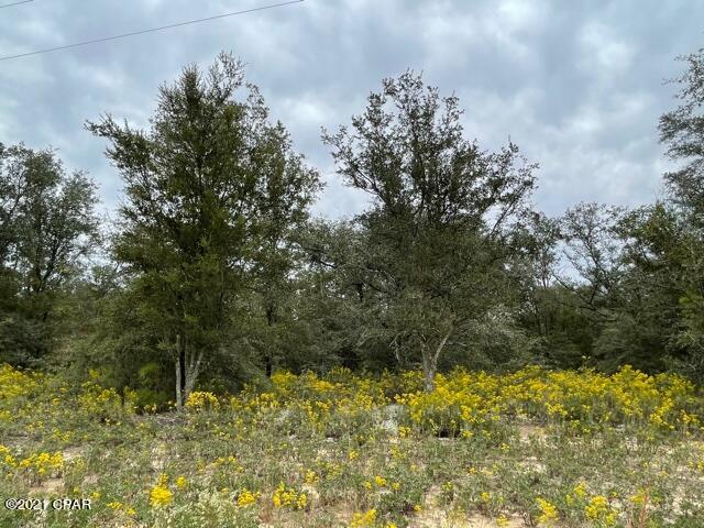 Compass Lake Hills Unit 1 - Land