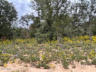 Compass Lake Hills Unit 1 - Land