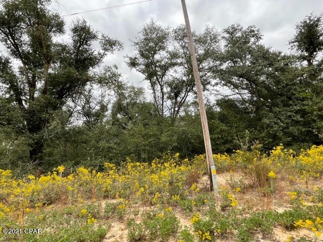 Compass Lake Hills Unit 1 - Land