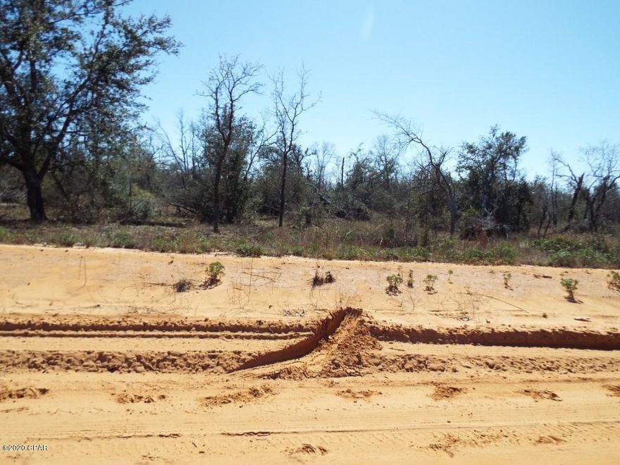 REDUCED!!! Two and half acre parcel on county maintained road  offered as is.  The property is level appears high and dry and has some hardwoods trees on it.  All sizes are approximate or taken from other sources.  Please verify accordingly.