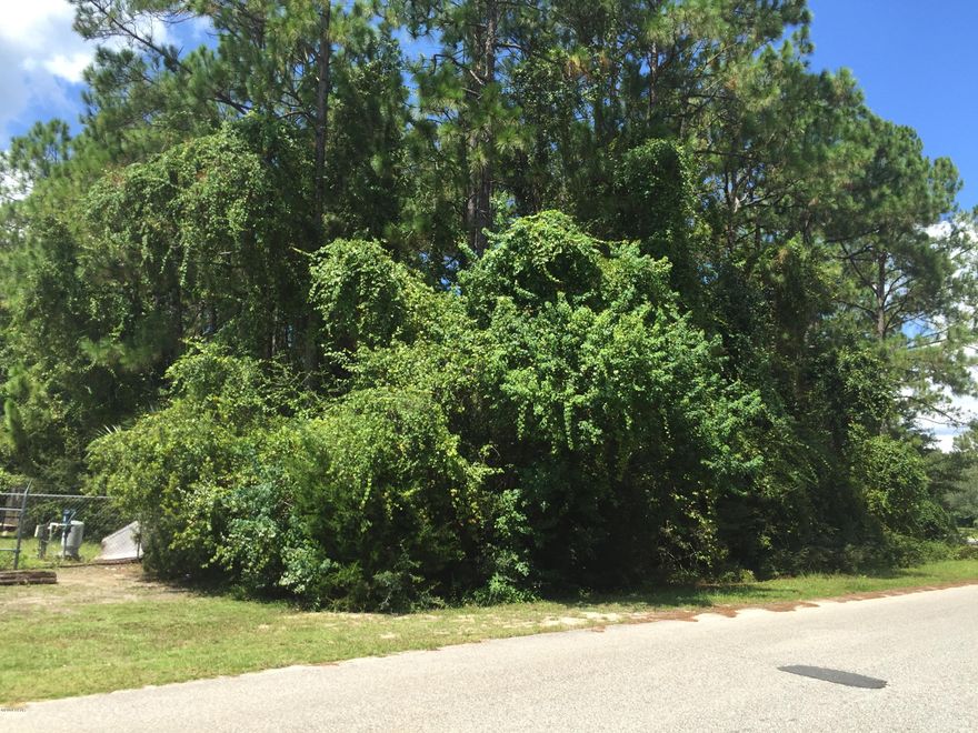 Great residential 3/4 acre lot just off Hwy 231. Quiet neighborhood and quick drive into PC or north to Youngstown.