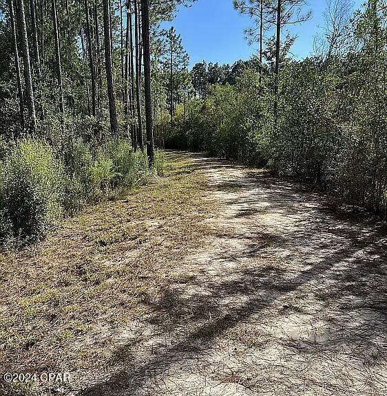 Windswept Estates - Residential