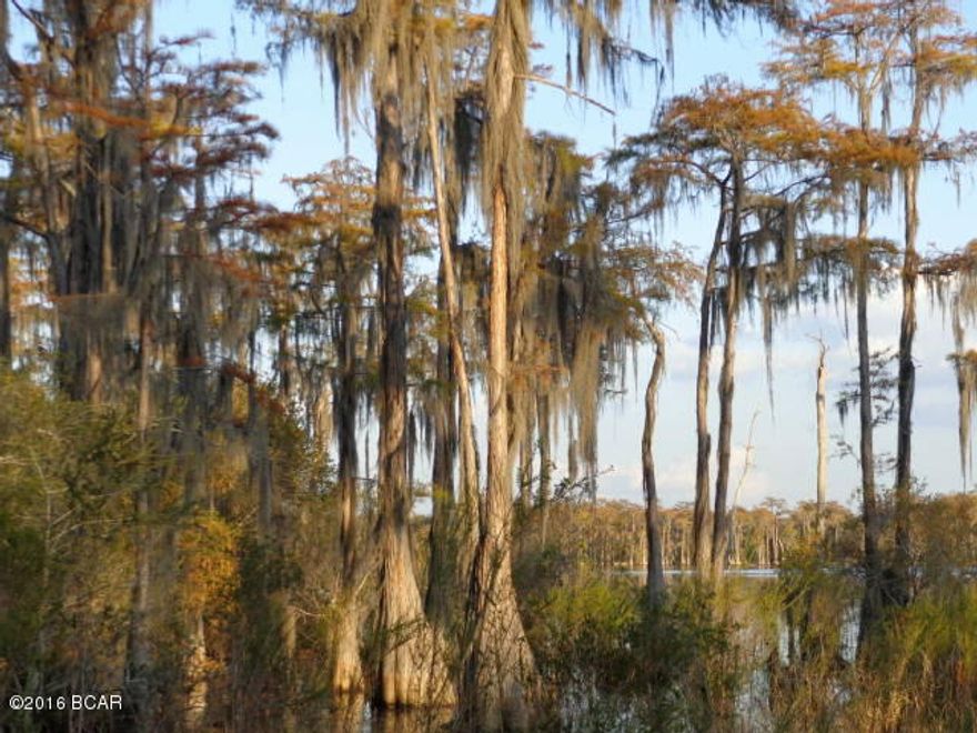 Waterfront lot on Lake McKenzie.  Located across street from Park. Close to boat ramp & public library.