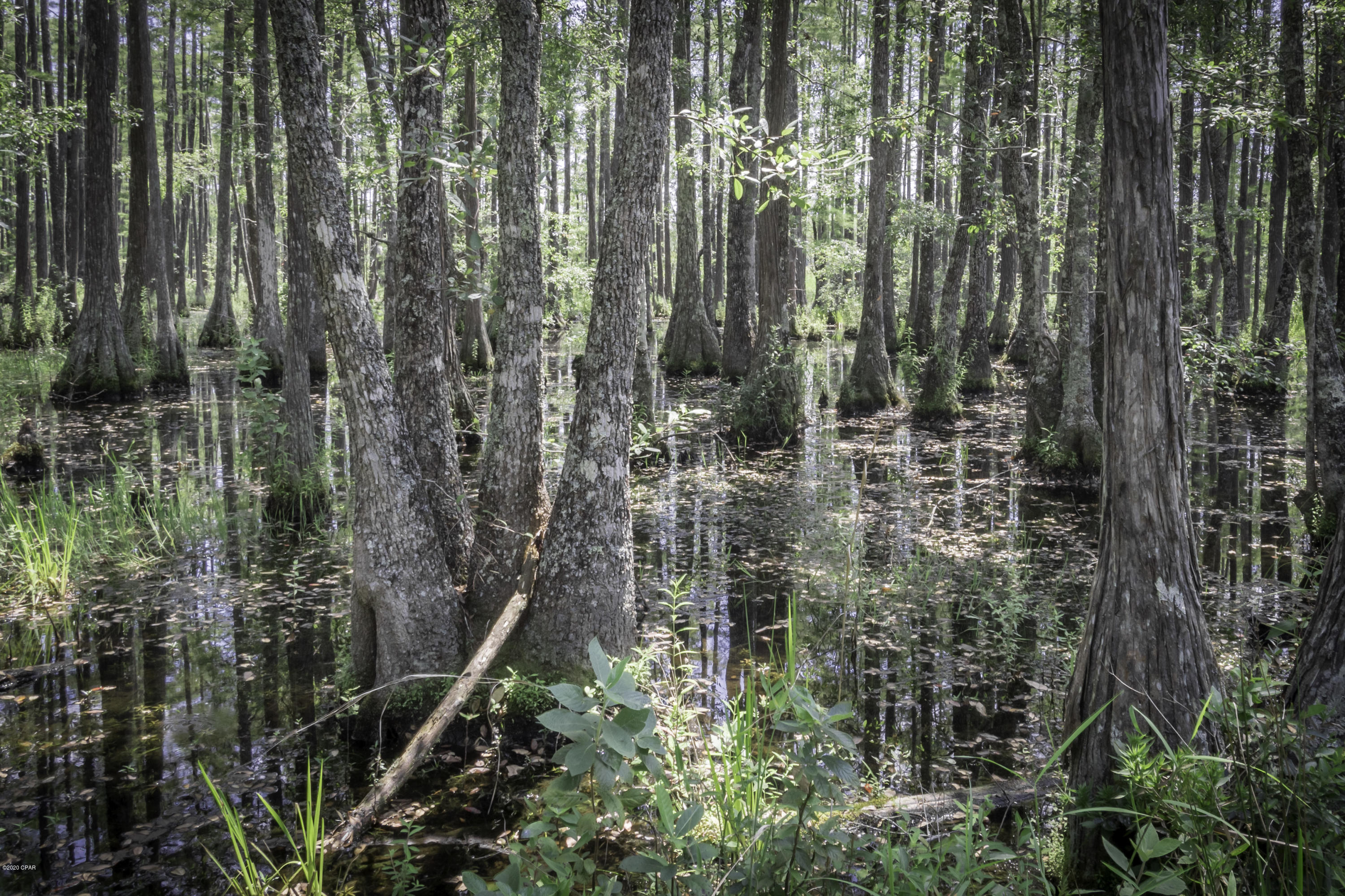 [No Recorded Subdiv] - Land