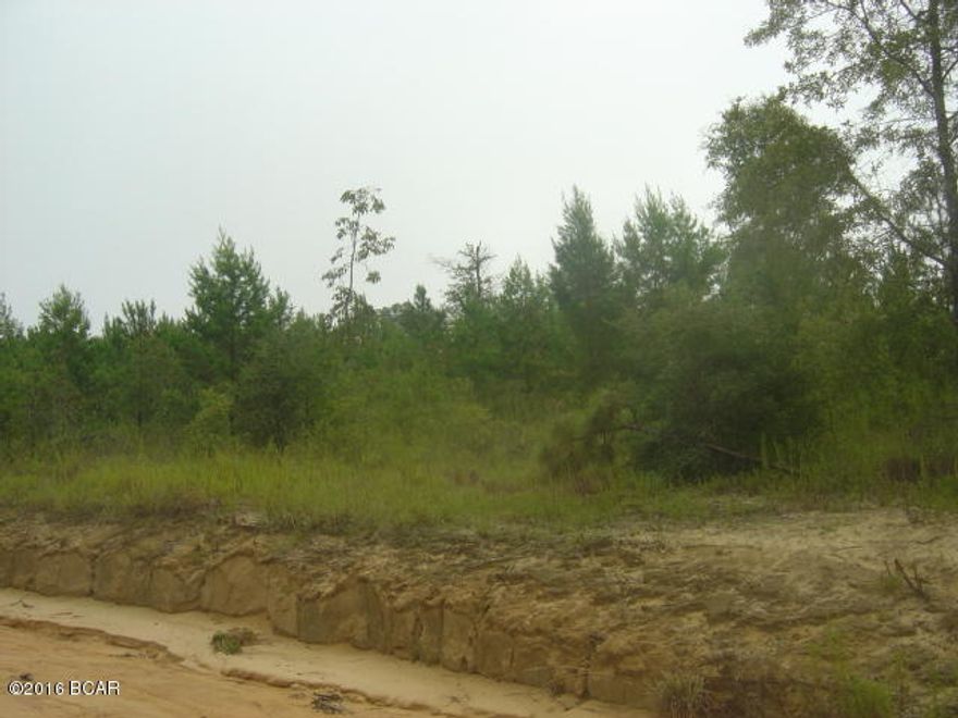 Nice parcel in trees, primarily in pines.  Great for hunting.