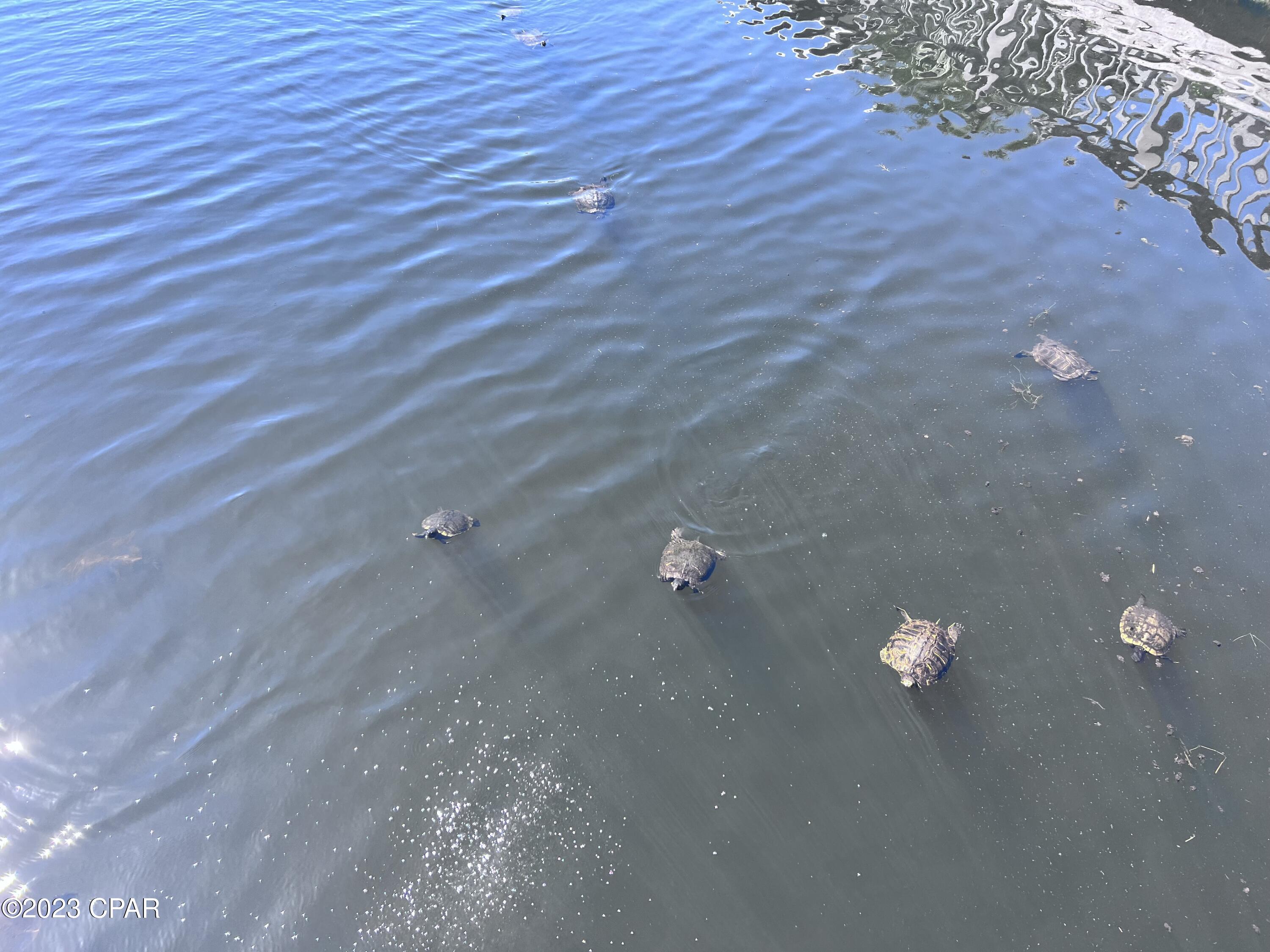 Emerald Pointe Resort - Residential Lease