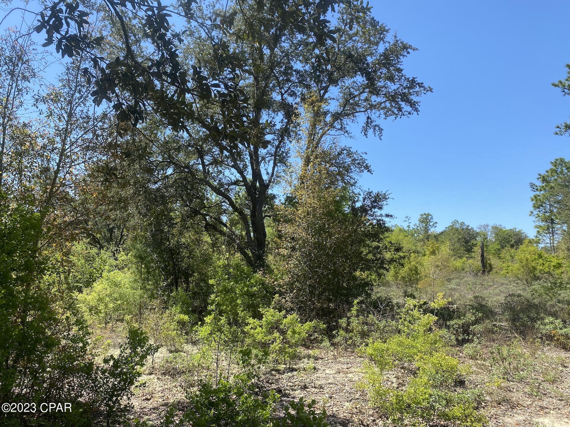 No Named Subdivision - Land